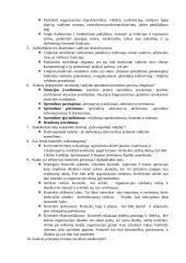 Vadybos egzamino užduotys 3 puslapis