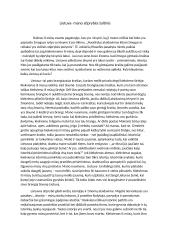 Lietuva - mano stiprybės šaltinis