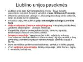 Liublino unija - skaidrės 13 puslapis
