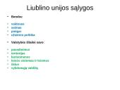 Liublino unija - skaidrės 10 puslapis
