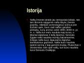 Nafta. Skaidrės 6 puslapis