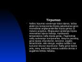 Nafta. Skaidrės 10 puslapis