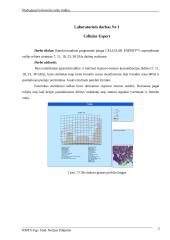 T180M104 Plačiajuosčio bevielio ryšio tinklai 2 puslapis
