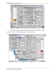 T180M104 Plačiajuosčio bevielio ryšio tinklai 14 puslapis