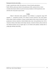 T180M104 Plačiajuosčio bevielio ryšio tinklai 16 puslapis