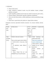 Fizinio ugdymo pratybų planas 2 puslapis