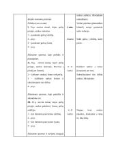 Fizinio ugdymo pratybų planas 3 puslapis