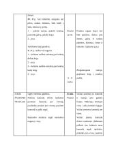 Fizinio ugdymo pratybų planas 4 puslapis