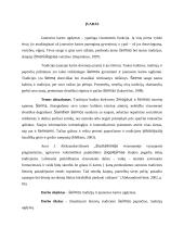 Šeimos tradicijų reikšmė ugdant vaikus 2 puslapis