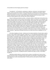 Ar humaniškumas esminis žmogaus gyvenimo principas?