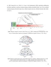 Sutrikusio intelekto moksleivių psichomotorinės reakcijos laiko ypatumai prieš ir po fizinio krūvio  18 puslapis