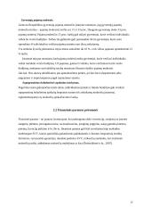 Valstybės paramos smulkiam ir vidutiniam verslui analizė 11 puslapis