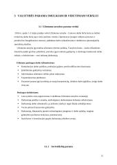 Valstybės paramos smulkiam ir vidutiniam verslui analizė 12 puslapis