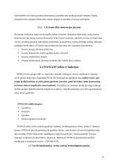 Valstybės paramos smulkiam ir vidutiniam verslui analizė 13 puslapis