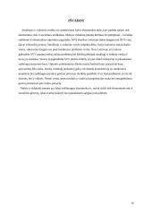 Valstybės paramos smulkiam ir vidutiniam verslui analizė 15 puslapis