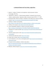 Valstybės paramos smulkiam ir vidutiniam verslui analizė 16 puslapis