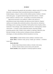 Valstybės paramos smulkiam ir vidutiniam verslui analizė 2 puslapis