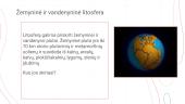 Ką žinome apie litosferą? 8 puslapis