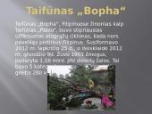 Stipriausi 2012 m. atogrąžų ciklonai 11 puslapis