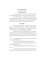 Netradicinės dailės technikos vaikų darželyje. Ugdomasis poveikis 4 puslapis