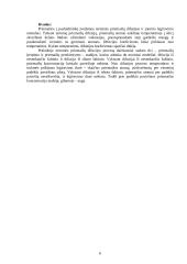 Terminės difuzijos proceso tyrimas 6 puslapis