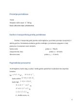 Kursinis projektas. Skreperis 5 puslapis