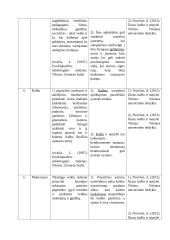 Dvikalbių vaikų mokymas lietuvių kalbos: terminų žodynas 2 puslapis
