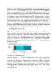 ETF Fondų analizė 11 puslapis