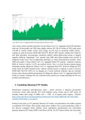 ETF Fondų analizė 12 puslapis