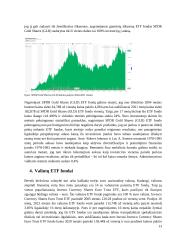 ETF Fondų analizė 13 puslapis
