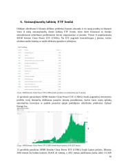 ETF Fondų analizė 16 puslapis