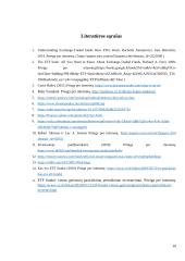 ETF Fondų analizė 19 puslapis