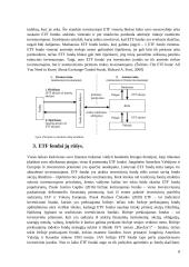 ETF Fondų analizė 8 puslapis
