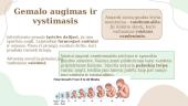 Nėštumas ir gimdymas (skaidrės) 2 puslapis