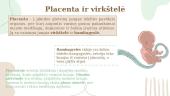 Nėštumas ir gimdymas (skaidrės) 3 puslapis