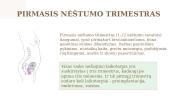 Nėštumas ir gimdymas (skaidrės) 4 puslapis