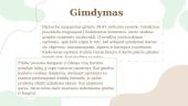 Nėštumas ir gimdymas (skaidrės) 7 puslapis