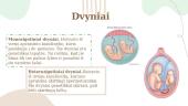 Nėštumas ir gimdymas (skaidrės) 9 puslapis
