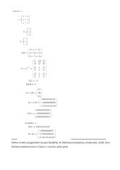 Tiesinė algebra. Darbas su Derive programa 7 puslapis