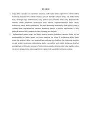 Darbo teisinių santykių reglamentavimo situacijos Lietuvoje analizė 12 puslapis