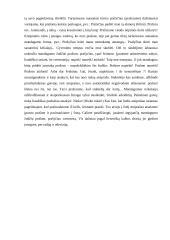 Lietuvių kalbos etiketas (projektinis darbas) 13 puslapis