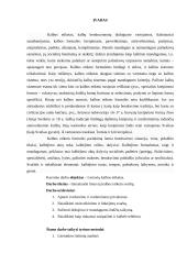 Lietuvių kalbos etiketas (projektinis darbas) 2 puslapis