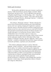 Meilės galia literatūroje (rašinys)