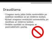 Uragano pavojus 8 puslapis