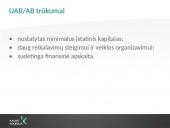 Individuali veikla 12 puslapis