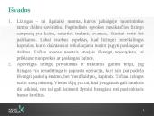 Lizingo kompanijų veikla 11 puslapis