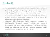 Lizingo kompanijų veikla 12 puslapis