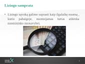 Lizingo kompanijų veikla 3 puslapis