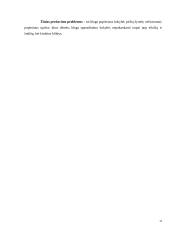 UAB „ELV projektai“ įmonės išorinė komunikacija 11 puslapis