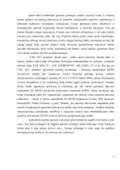 UAB „ELV projektai“ įmonės išorinė komunikacija 13 puslapis